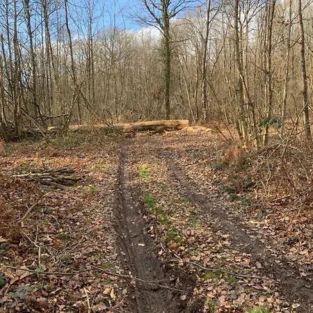 Des Eperviers Chemiré-en-Charnie